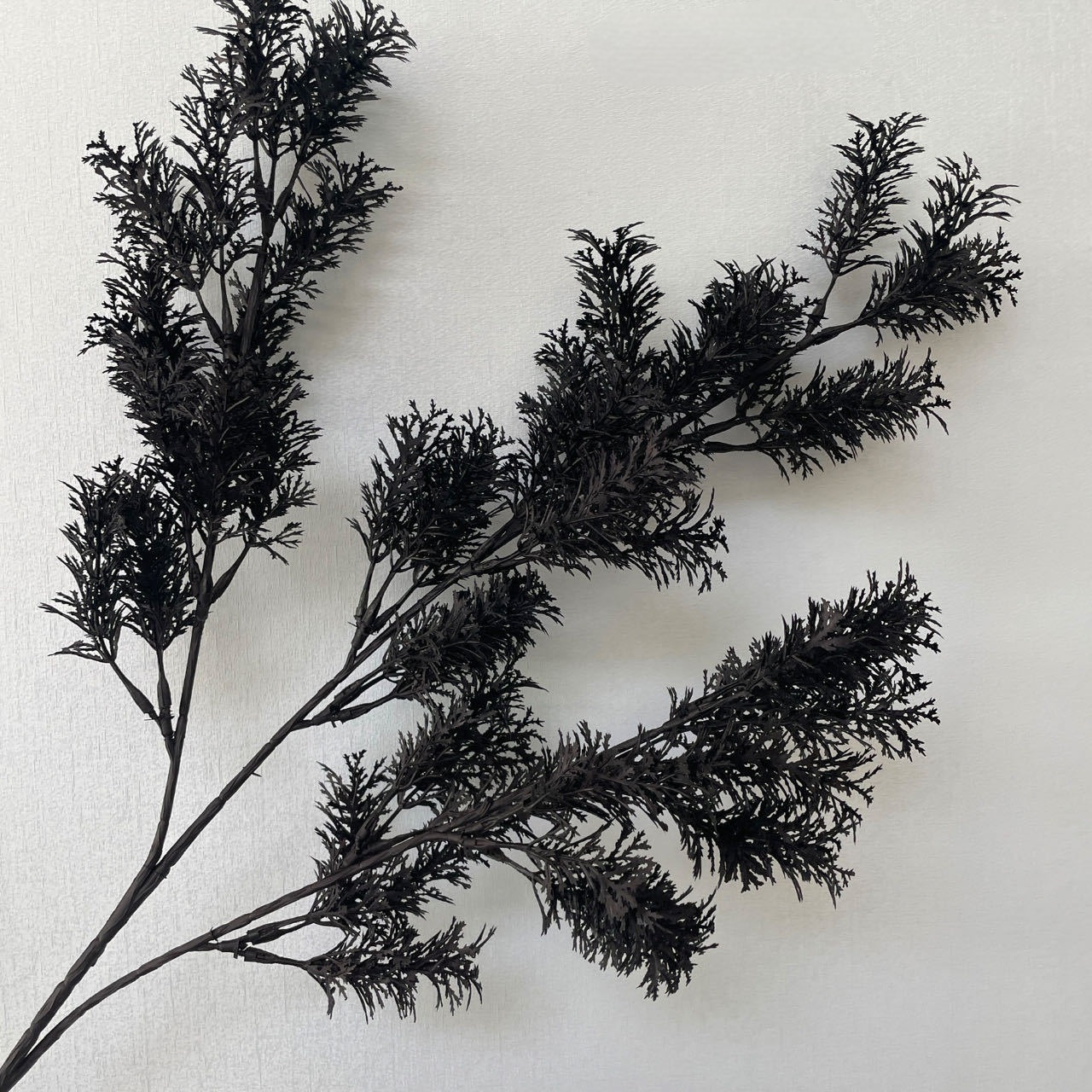 SPR-DZ-BLACK-O