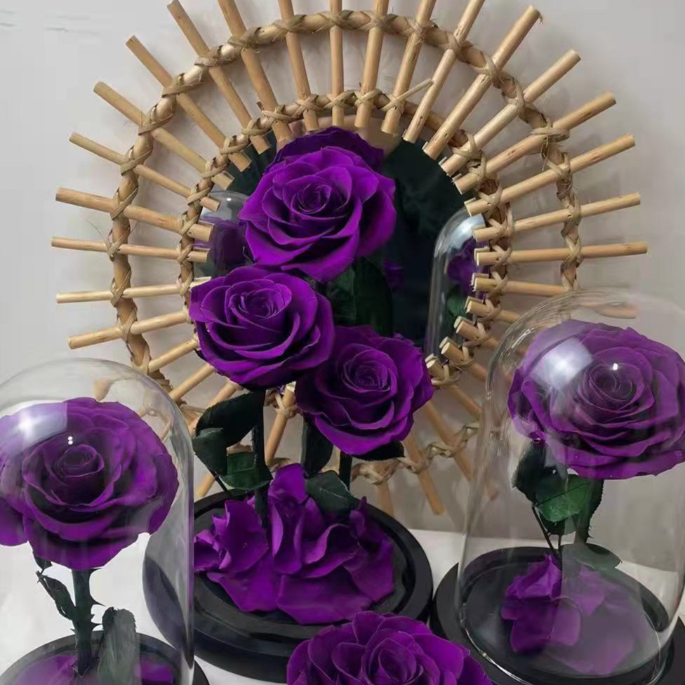 Viola classico (senza luce e scatola regalo)