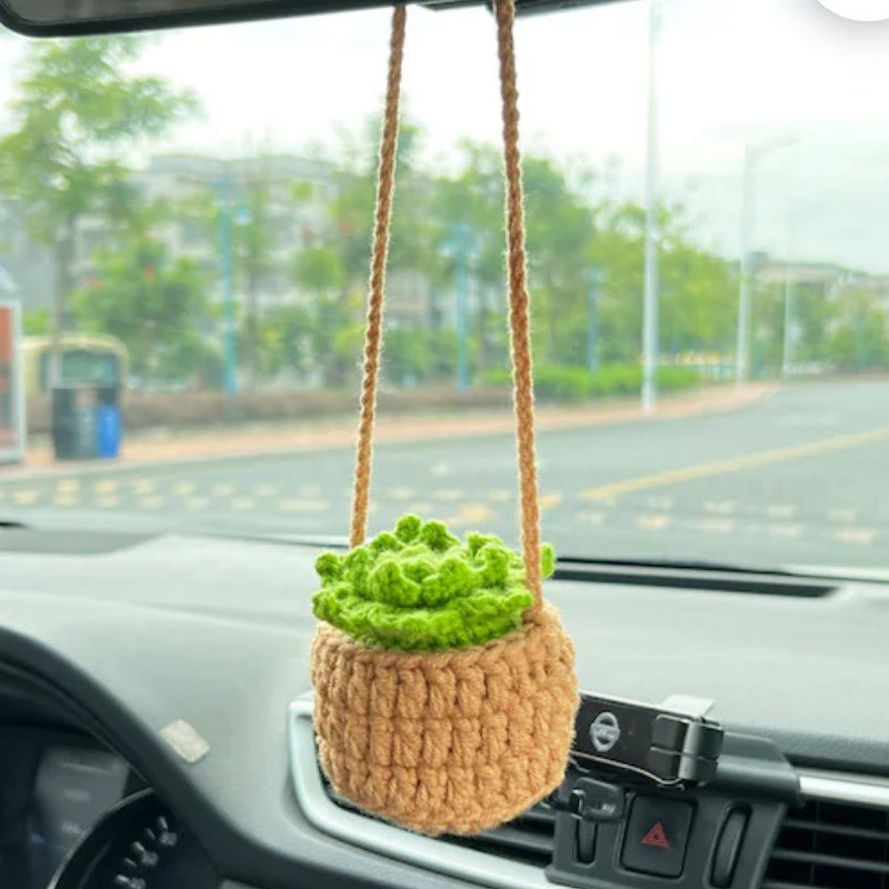 Succulent vert fluo kaki