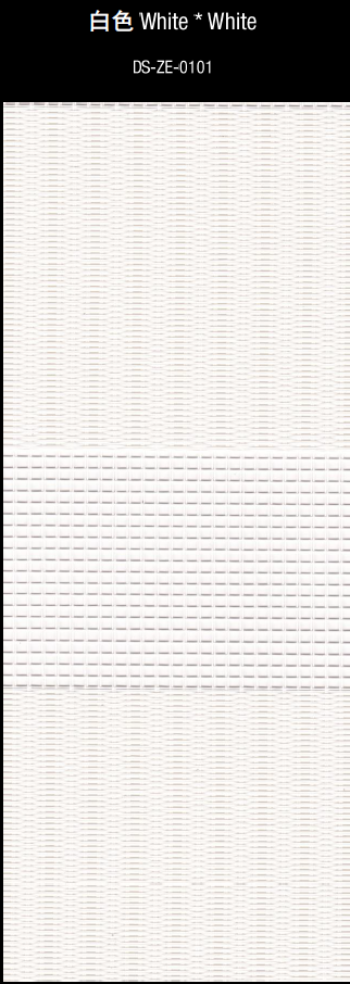 ZE-0101