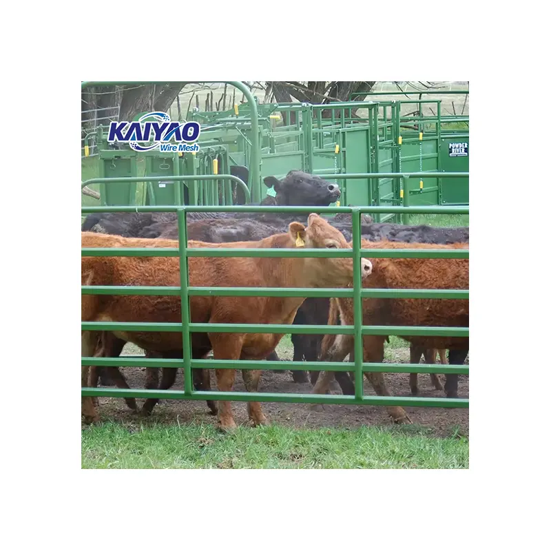 Clôture de bétail peu coûteuse/panneaux de clôture en métal pour animaux de ferme bovins et moutons