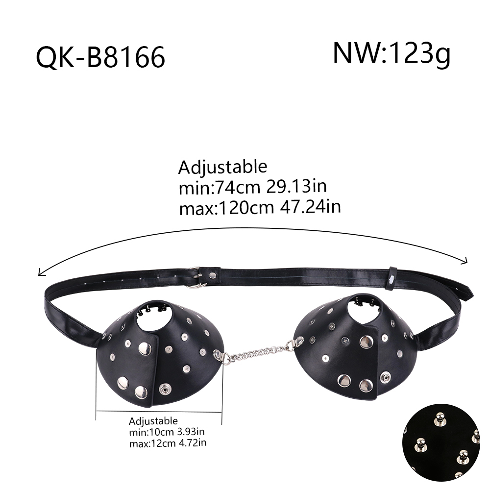 8166 silver