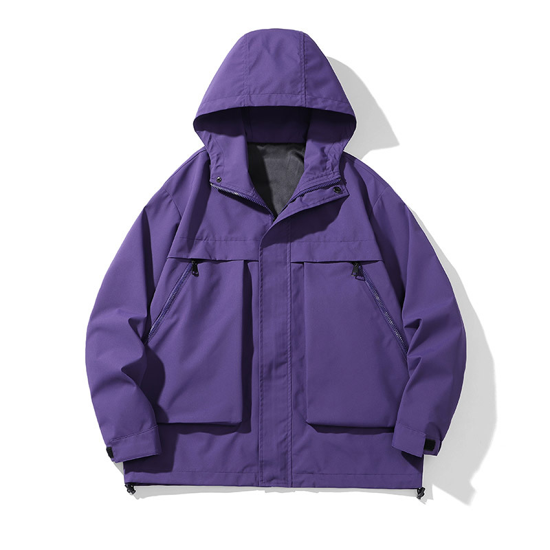 Viola
