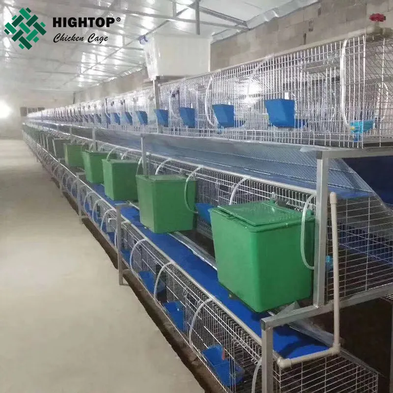 Cage à lapin en filet galvanisé, 4 couches, livraison gratuite, batterie commerciale, transportable au Pakistan