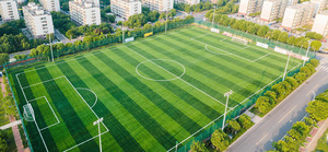 Hạt giống cỏ bóng đá tự nhiên chất lượng cao nhất, cỏ cỏ, sân bóng đá, sân thể thao cỏ nhân tạo - Product Image 5