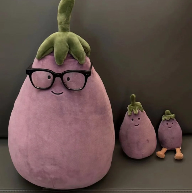 Eggplant 17cm