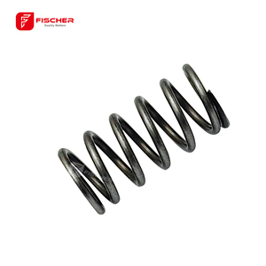 สปริงบีบอัดคุณภาพสูง 1464618934 สําหรับปั๊ม BOSCH ฉีด VE - Product Image 4