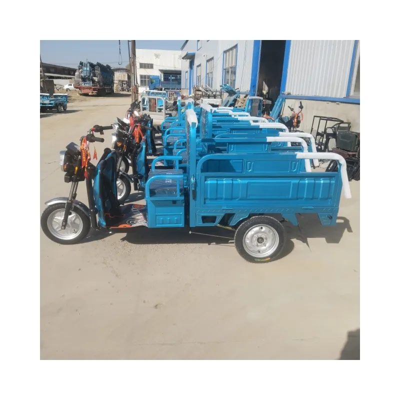 Novo produto 700w/1000w entrega de carga triciclo elétrico triciclo de três rodas caminhão elétrico
