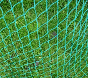 Высокое качество HDPE зеленый анти-защита от птиц сетка для сельского хозяйства и теплицы - Product Image 5