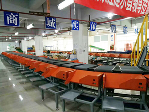 <strong>Material</strong> <strong>Handling</strong> <strong>Automated</strong> Sortation Vertical Sorting <strong>System</strong> Linear Sorter with DWS for Ecommerce Industry - Product Image 5