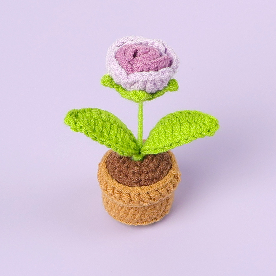 Dégradé violet - plante en pot rose bulle t