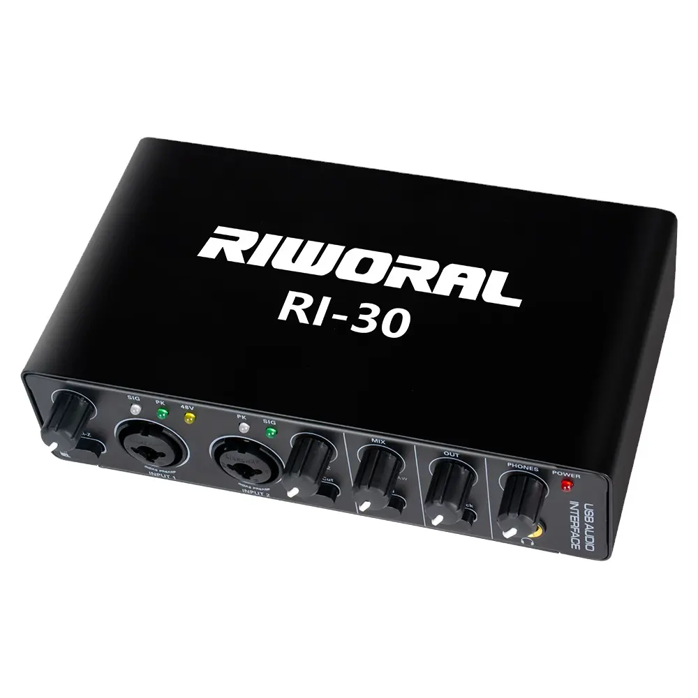 RI-30 Mini scheda audio per strumenti esterni scheda audio per registrazione in studio USB a 2 canali