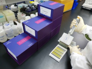 EasyStep İnsan VASP (vasodilatör uyarılmış fosfoprotein) ELISA seti, hızlı test, sadece 1.5h - Product Image 4