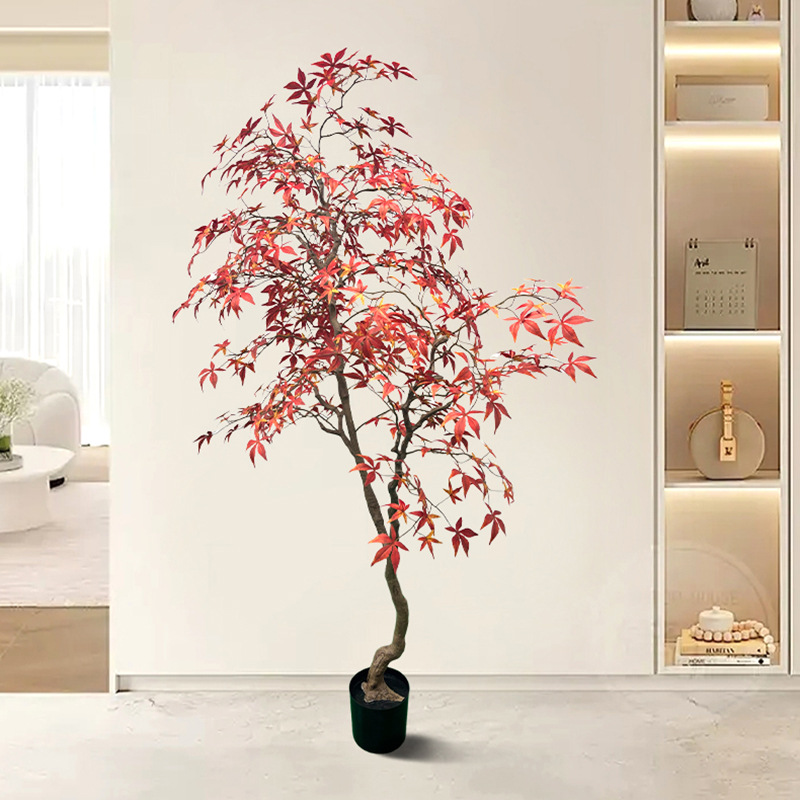 Arce 1-h220cm