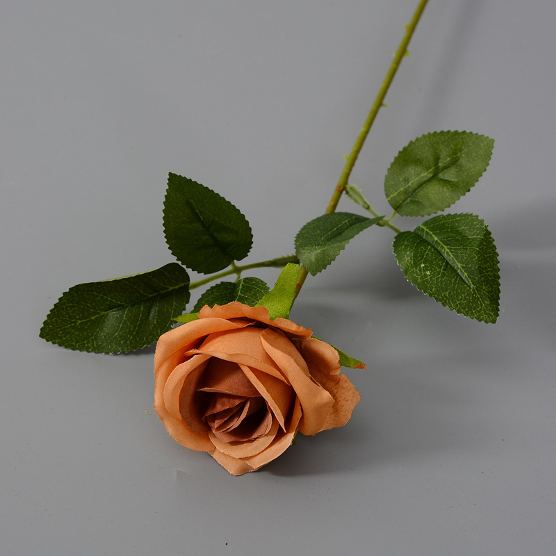 Soie brute 7 cm, couleur café foncé.