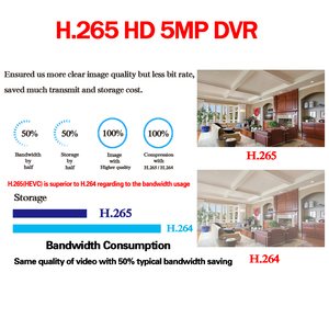 5.0MP XVR görünüm APP 8CH DVR H.265 kaydedici HDD P2P PC mobil uzaktan BNC CCTV Video kaydedici 4 kanal 5MP kadar destek - Product Image 5