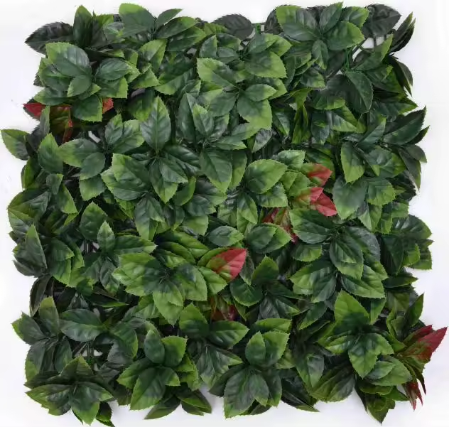 Green-RSF-50*50cm-1