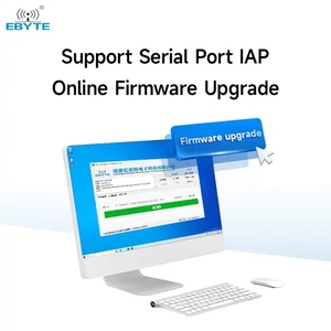 Ebyte-Módulo de puerto serie inalámbrico LoRa Spread Spectrum, módulo de puerto serie inalámbrico UART, interfaz RS485/RS232/USB, 33dBm12km - Product Image 3