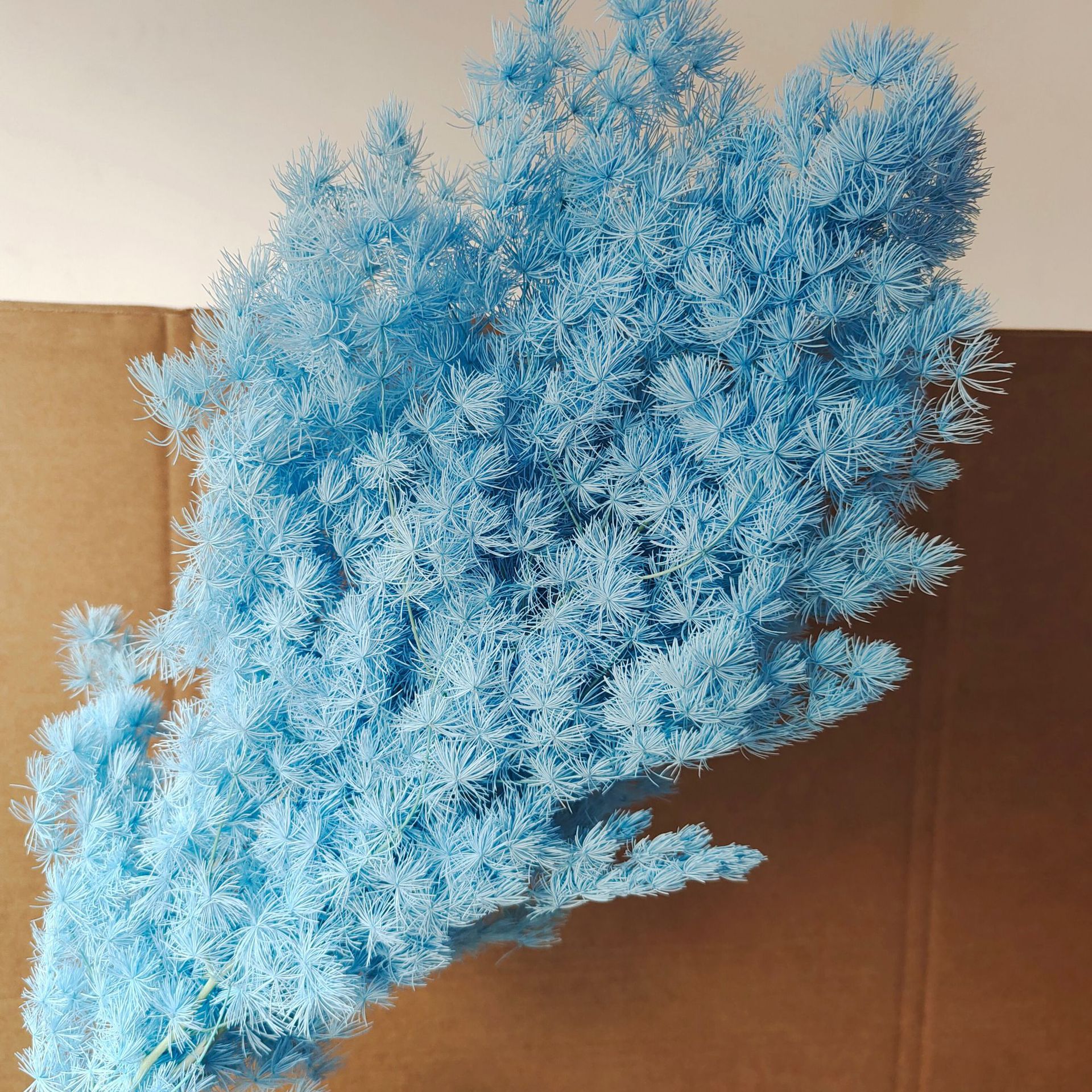Sky Blue fade easily