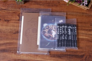 中国制造商PE扁平包装袋LDPE袋透明塑料袋不同尺寸印刷 - Product Image 5