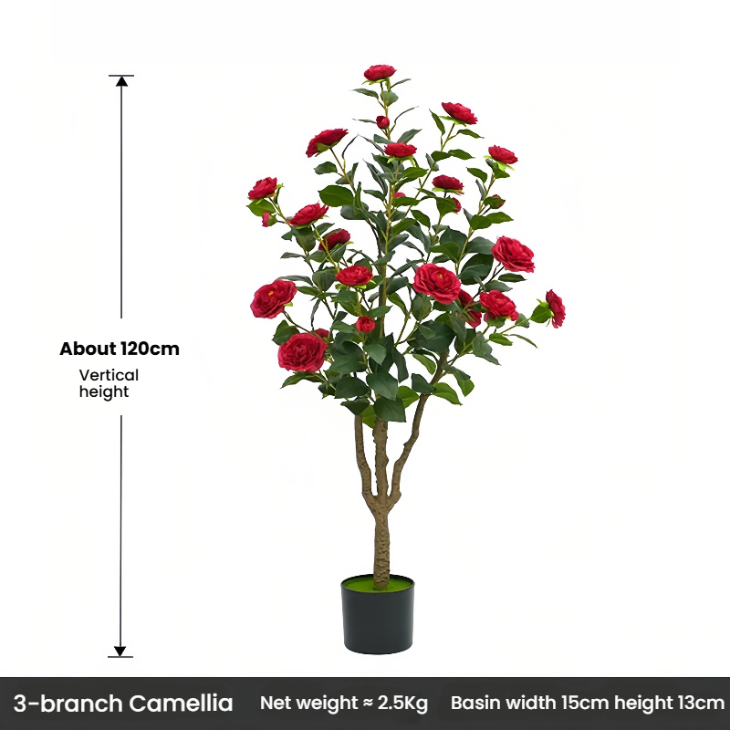 120 centimetri