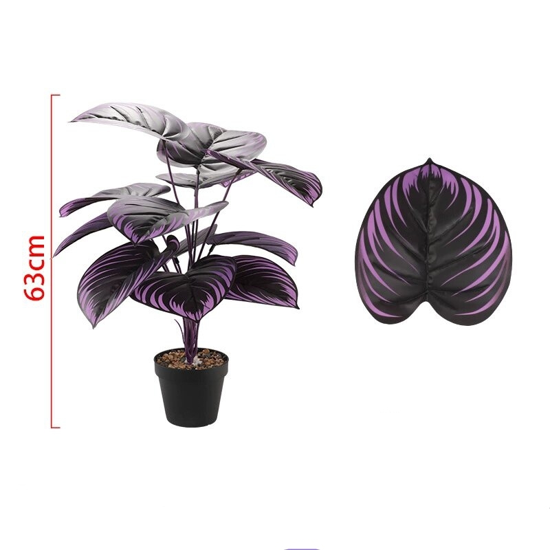 Purple 1