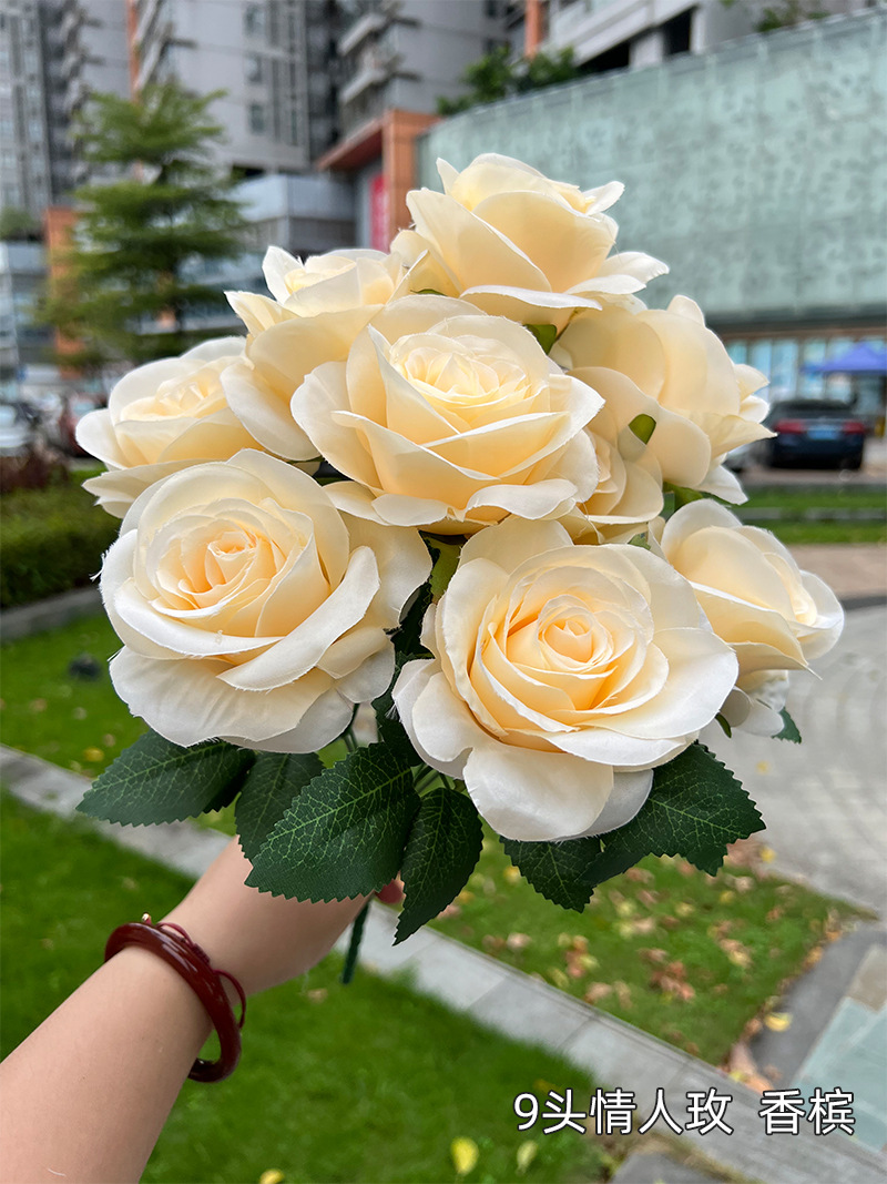 9 lover may-champagne