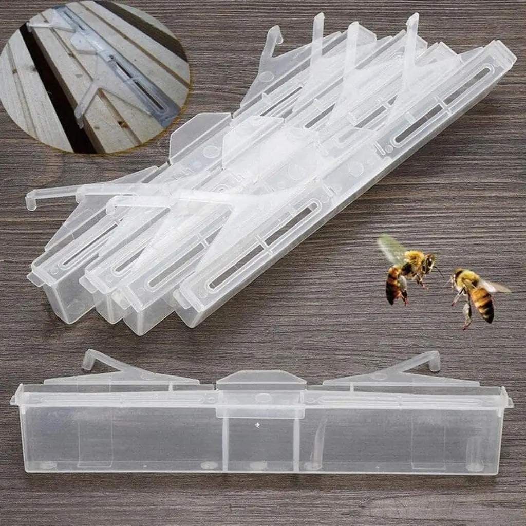 Herramientas de apicultura Plastic Beehive Beetle Trap Beehive Beetle Tools para la venta