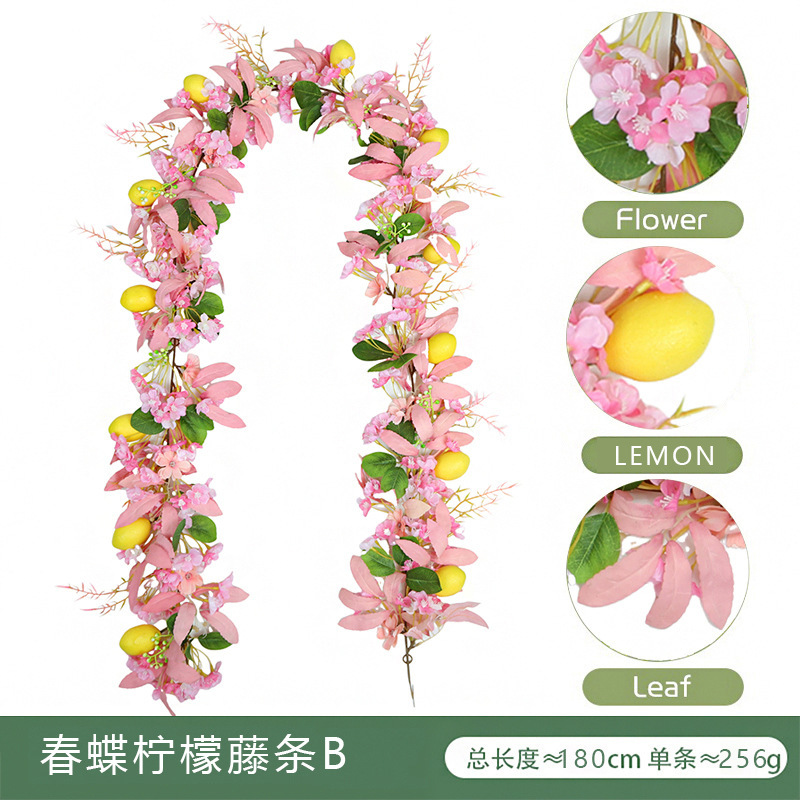 Vigne de citron papillon de printemps B (cryptée)