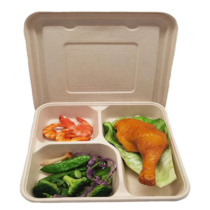 disposable biodegradable bagasses food tray