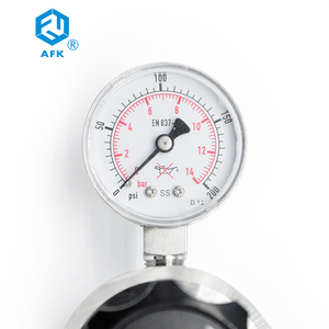 Chất lượng cao 316L thép không gỉ đo áp suất 1/4npt cho Helium gas thanh Trừng hệ thống - Product Image 4