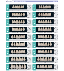 วัสดุห้องปฏิบัติการทันตกรรม ชุดฟันปลอมอะคริลิกเรซินสองชั้น ราคาประหยัด สำหรับทำฟันปลอม - Product Image 3
