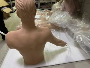静脈介入の上半身マネキン/医療トレーニングのシミュレーションモデル/医療教育と学習のマネキン - Product Image 4