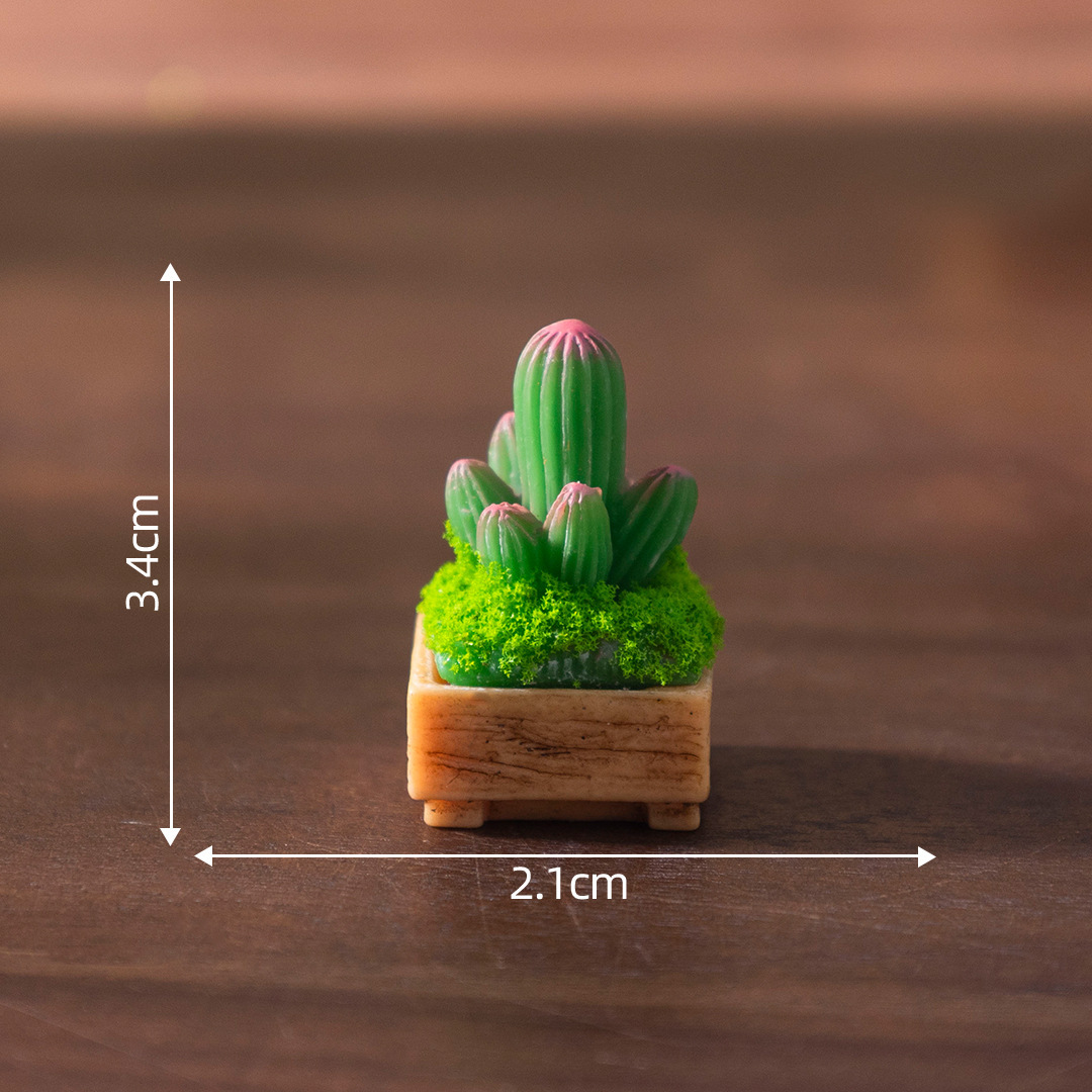 Composizione colorata di 17 cactus