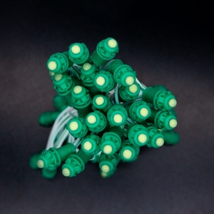 Ingrosso luce <span class=keywords><strong>LED</strong></span> impermeabile a <span class=keywords><strong>LED</strong></span> a singolo colore 50 <span class=keywords><strong>LED</strong></span> DC 12V 9mm <span class=keywords><strong>Pixel</strong></span> modulo luci da giardino a singolo colore