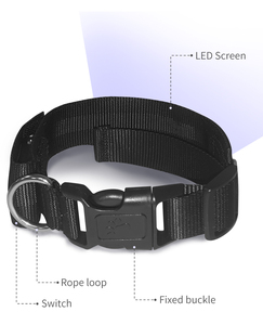 USB wiederauf ladbar programmier bar Custom ized Scrolling Text App gesteuert DIY Nachricht Leuchten Led Hunde halsband Led Haustier halsband - Product Image 3