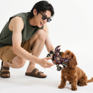 Halat karışımı ile sofistike çevre dostu köpek çiğnemek oyuncak dayanıklı naylon rahat tarzı ilgi çekici diş dostu ilham yengeç tasarım - Product Image 1