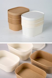 Terrax Trung Quốc Nhà Máy Hình Chữ Nhật Container Sinh Học Phân Hủy Nhựa Miễn Phí Với Nắp Takeaway 1000Ml Hộp - Product Image 4