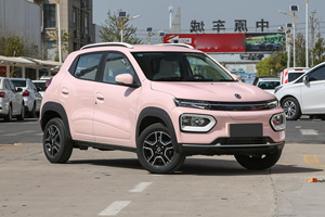 New Product Lithium Iron Phosphate Battery <strong>Four</strong> Wheel City Electric Vehicle for Dongfeng Nano Box 201Km Standard <strong>Model</strong>