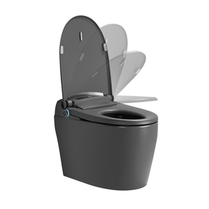 One Piece Automatic Toilet Electronic Gray Smart Toilet with Water tank - Product Image 1