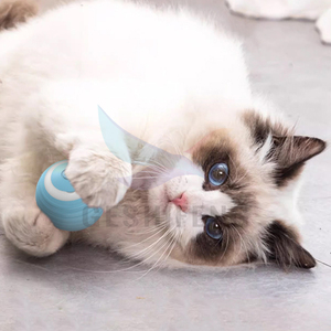 Juguetes interactivos de entrenamiento, juguetes de hierba gatera que se mueven automáticamente para gatos, pelota eléctrica para mascotas, pelota rodante automática, juguetes inteligentes para gatos - Product Image 6