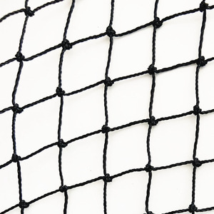 Fabrika Outlet 50mm Mesh geçirmez netleştirme tarım koruma anti-kuş ağı pirinç alan için - Product Image 4