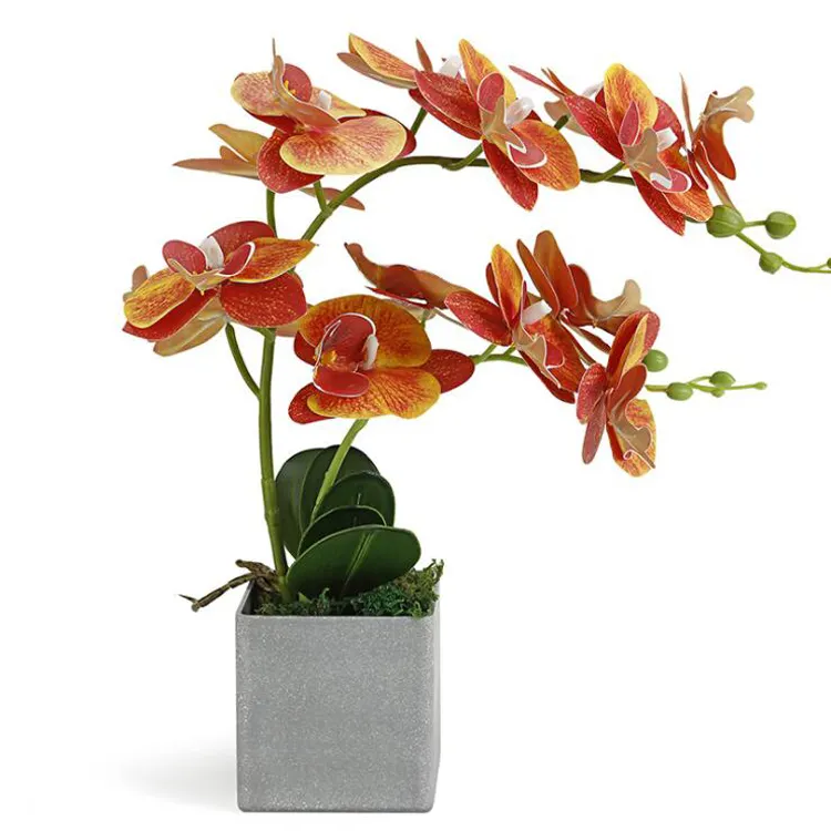 Orquídeas artificiales de látex para decoración del hogar, bonsái, orquídeas en maceta, flores, Phalaenopsis, tacto Real, precio de fábrica