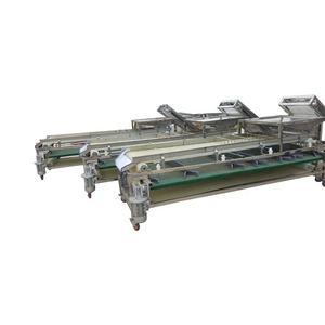 Selezionatrice automatica della data rossa frutta fresca classificazione dell'arancia verdura piccola selezionatrice della noce del dado di smistamento della patata in vendita - Product Image 4