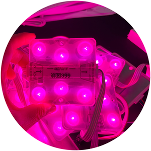 Magic RGB RGBIC 6LEDs 68x68mm 160 Degree Lens Advertising Light Box Dc24v 3.6w Outdoor Waterproof IP67 <strong>Led</strong> Modules for Signs - Product Image 6