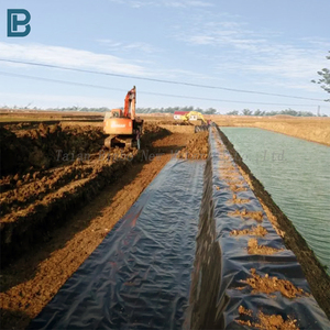 Ldpe geomembrane גיליון 0.5 מ "מ-2.0 מ" מ hdpe בריכת מים סכר אניה דגים אניה אניה אניה Pvc eva עבור מטמנה חקלאות