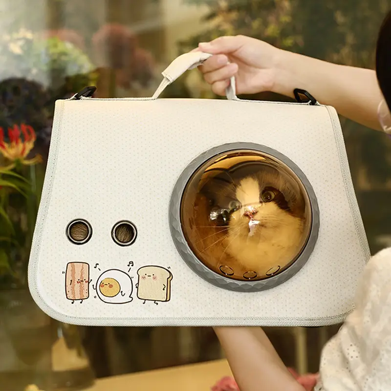 Factory Direct Portable Cages Capsule Cages for Pets Foldable Bag Outdoor Backpack Cartoon Cat Dog Bag