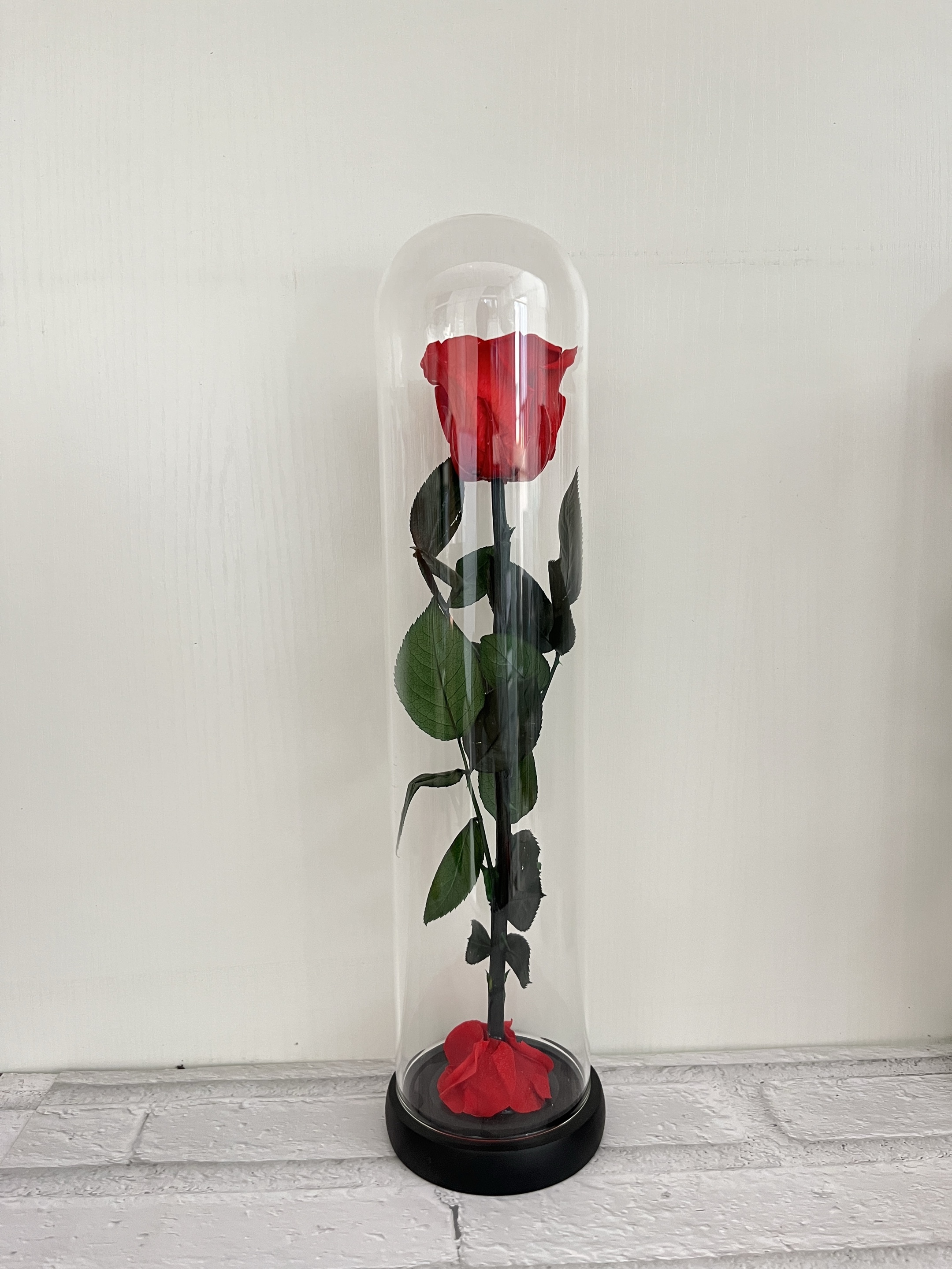 Rojo (9*27cm)