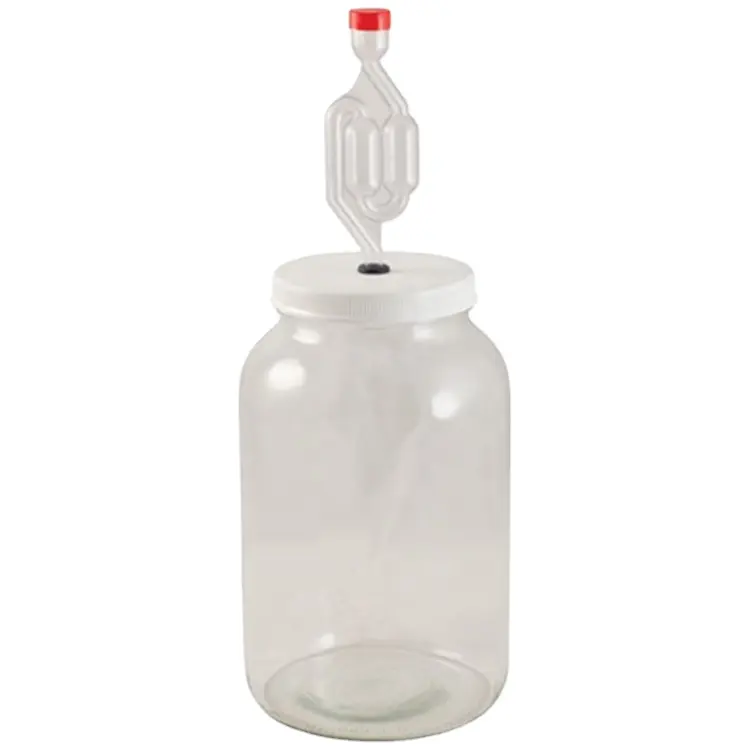 In Bulk Lage Hoeveelheid 1 Gallon Glas Mason Jar Fermentatie Tank Met Plastic Deksel En S-Vorm Luchtsluis Voor augurk