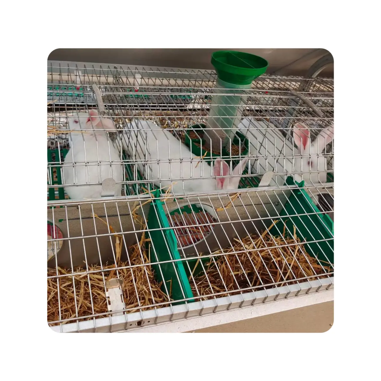 Stacking Rabbit Breeding Battery Cage for rabbit farm